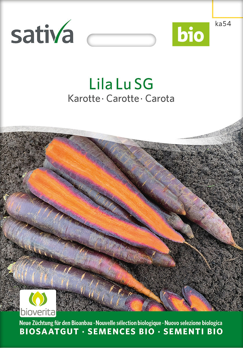Sativa Karotte Lila Lu SG