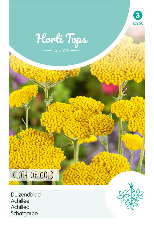 Horti Tops Schafgarbe Cloth Of Gold