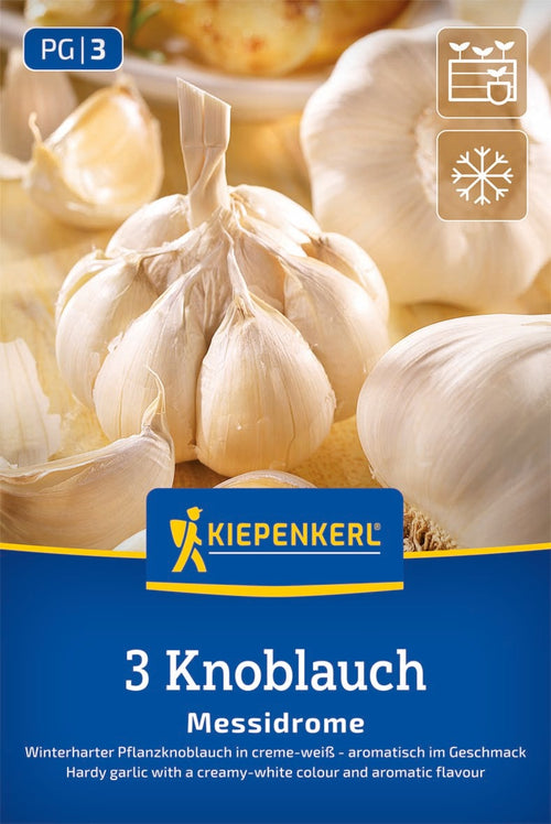 Kiepenkerl Winterknoblauch Messidrome 3 Stück