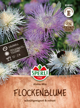 SPERLI Flockennblume Aloha-Mix