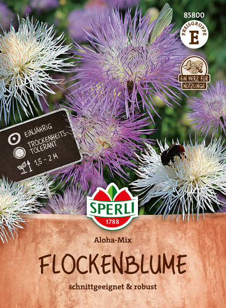 SPERLI Flockennblume Aloha-Mix