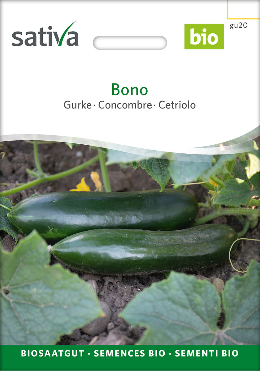 Sativa Gurke Bono