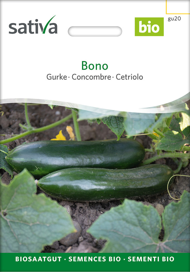 Sativa Gurke Bono