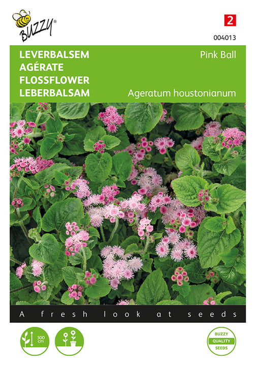 Buzzy Seeds Leberbalsam Pink Ball