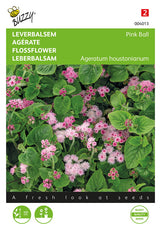 Buzzy Seeds Leberbalsam Pink Ball
