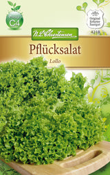 N.L. Chrestensen Pflücksalat Lollo