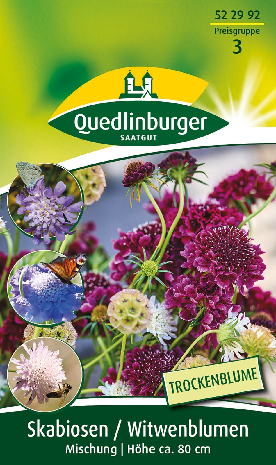 Quedlinburger Witwenblumen Mischung