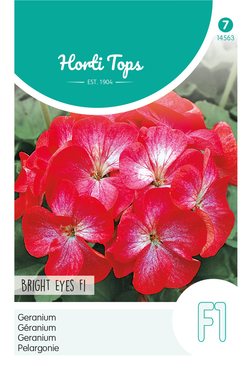 Horti Tops Pelargonie Bright Eyes Rot, Weiß