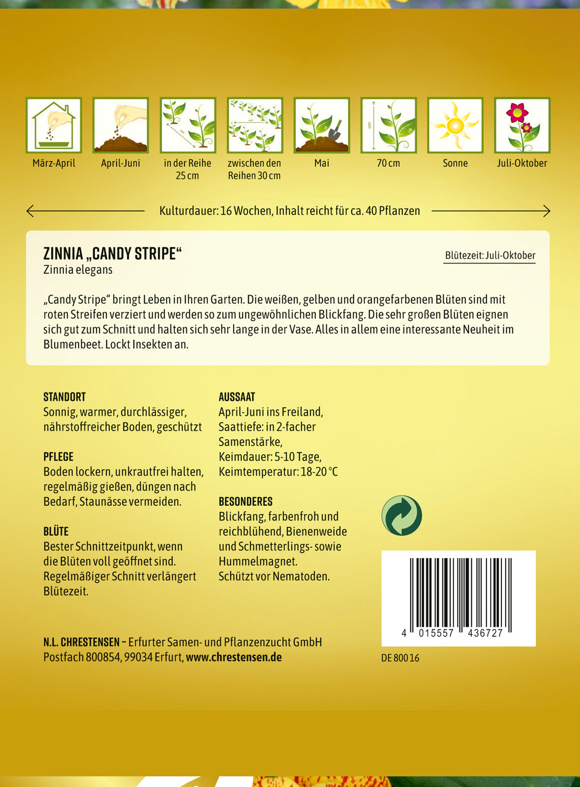 N.L. Chrestensen Zinnia Candy Stripe