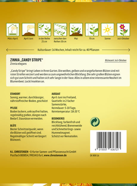 N.L. Chrestensen Zinnia Candy Stripe
