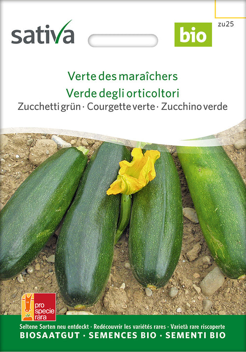 Sativa Zucchetti grün Verte des maraîchers