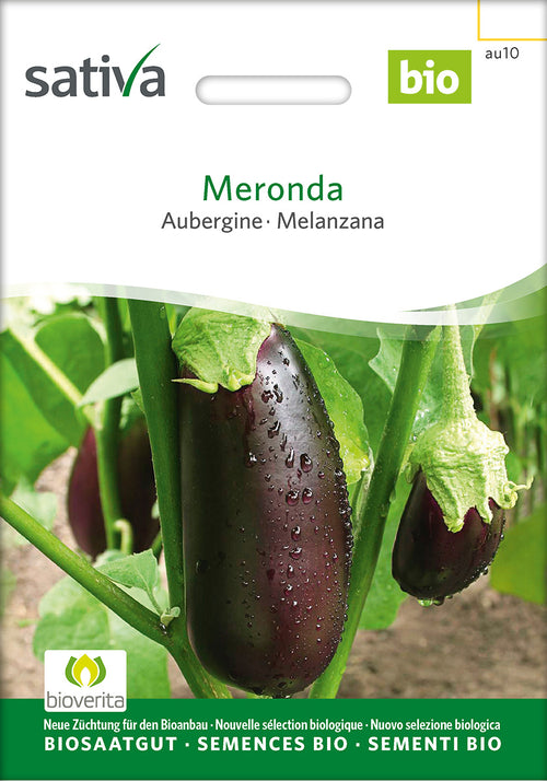 Sativa Aubergine Meronda