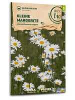 Samen Maier BIO Margeriten kleine Wildblume