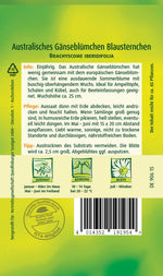 Quedlinburger Gänseblümchen Australisches blau