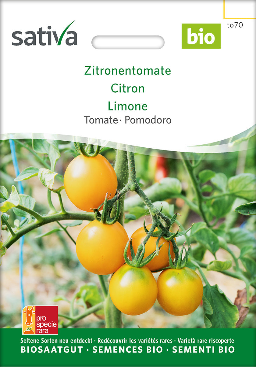 Sativa Tomate Zitronentomate