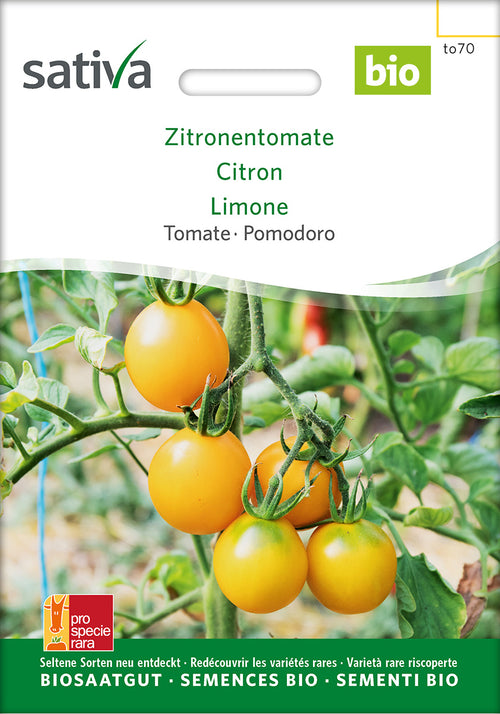 Sativa Tomate Zitronentomate