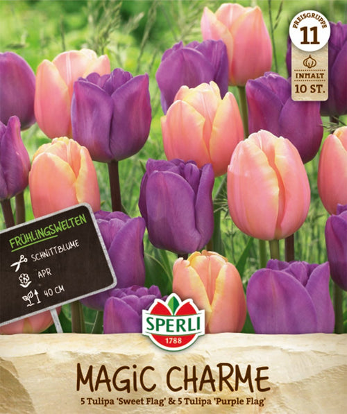 Frühlingsgarten Magic Charme