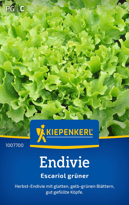 Kiepenkerl Endiviensalat Escariol grüner