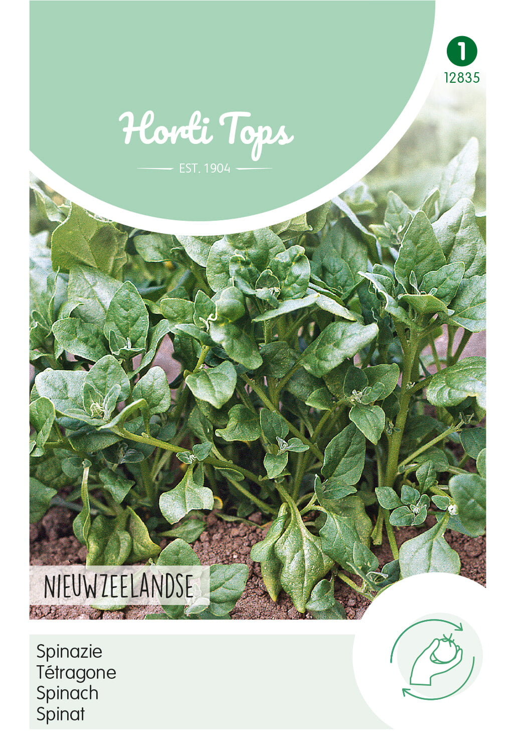 Horti Tops Spinat Neuseeländer