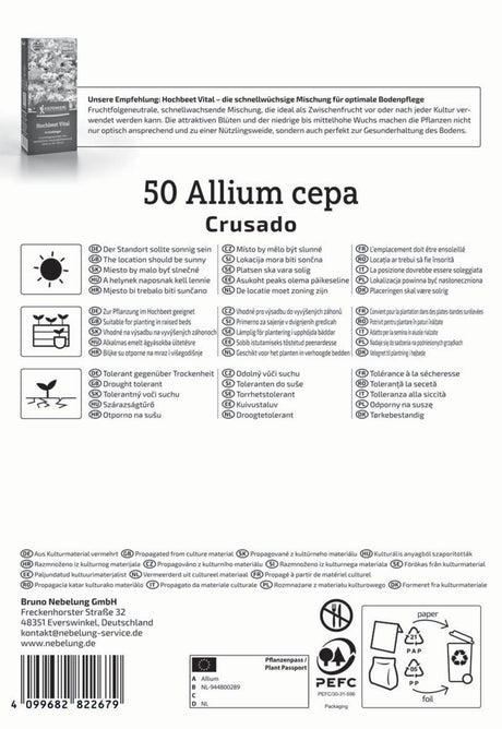 Kiepenkerl Steckzwiebel Crusado 50 Stück