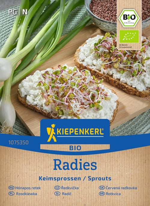 Kiepenkerl BIO Keimsprossen Radies