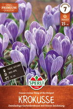 Premium Gartenkrokus King of the Striped