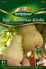 Quedlinburger Butternutkürbis Butterbush improved