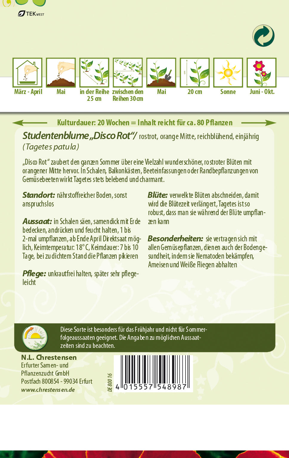N.L. Chrestensen TagetesDisco Rot
