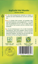 Quedlinburger Kopfsalat Mai Wunder