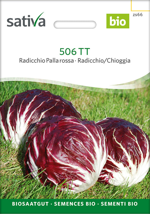 Sativa Radicchio Palla rossa 506 TT