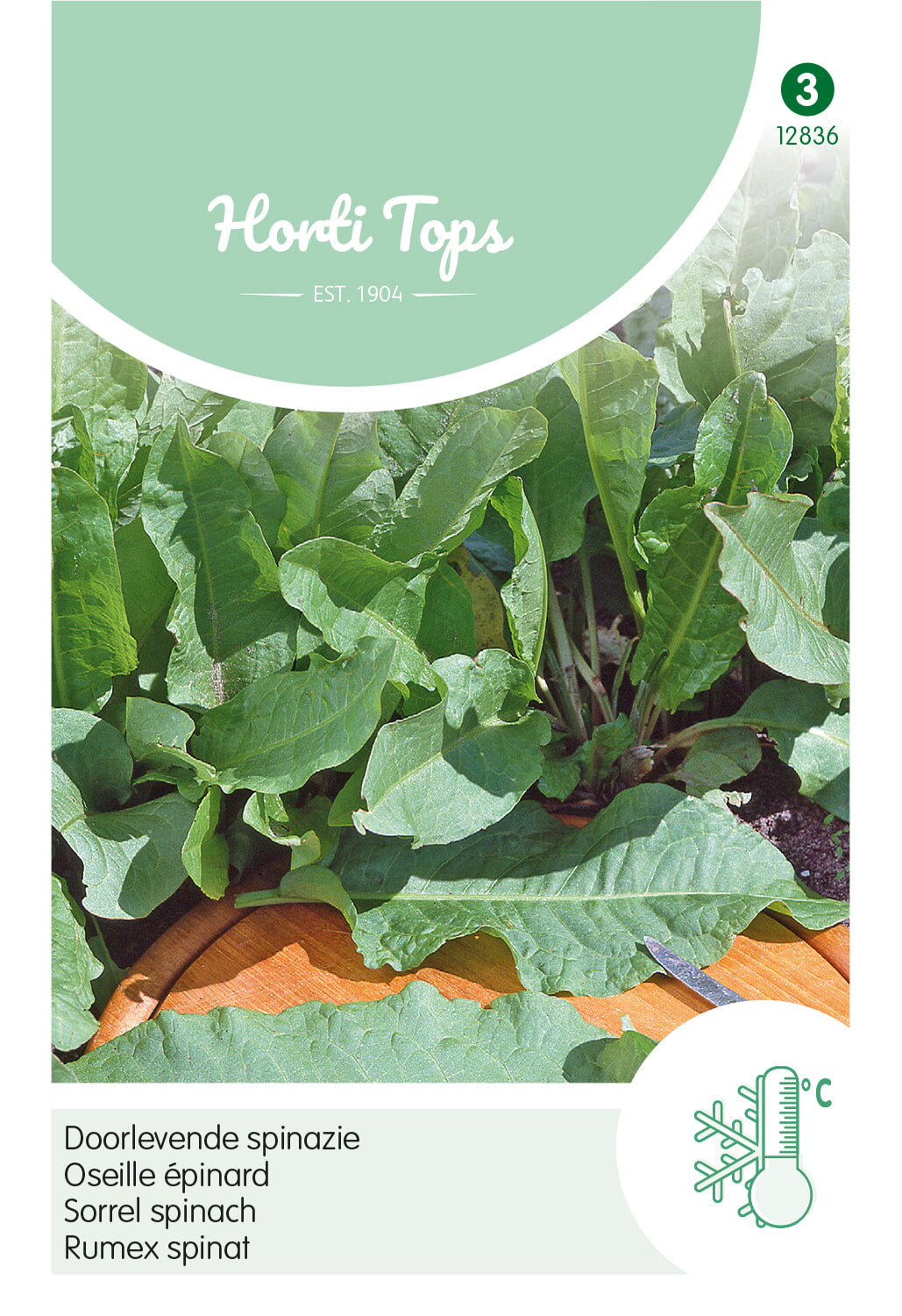 Horti Tops Ampferspinat Rumex
