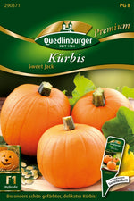 Quedlinburger Speisekürbis Sweet Jack
