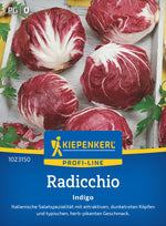 Kiepenkerl Radiccio Indigo