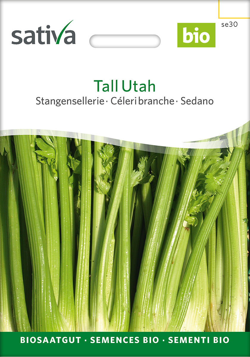 Sativa Stangensellerie Tall Utah