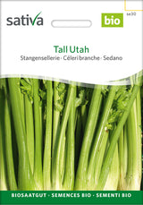 Sativa Stangensellerie Tall Utah