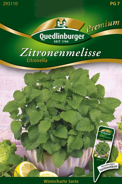 Quedlinburger Zitronenmelisse Citronella