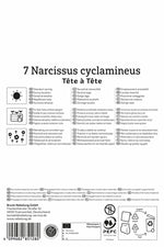 Narzisse Tête à Tête