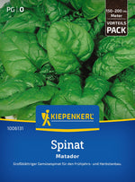 Kiepenkerl Spinat Matador Vorteilspack