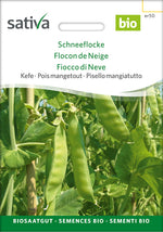 Sativa Kefe Schneeflocke