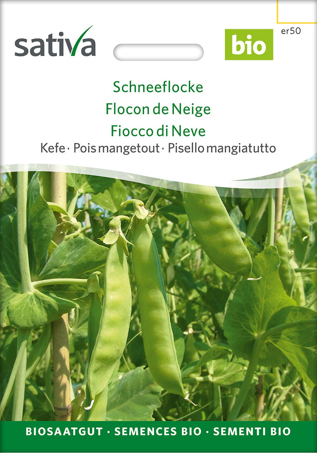 Sativa Kefe Schneeflocke