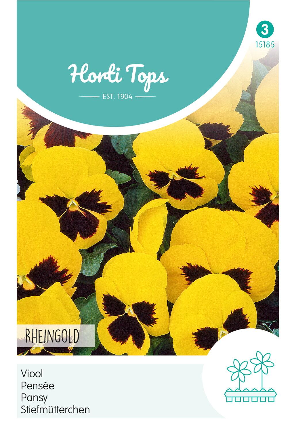 Horti Tops Garten-Stiefmütterchen Schweizer Riesen Rheingold