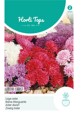 Horti Tops Sommeraster Norddeutsche Gefüllte Teppich Mischung