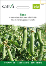 Sativa Wintererbse Sima