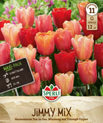 Maxi Triumph-Tulpen Jimmy Mix