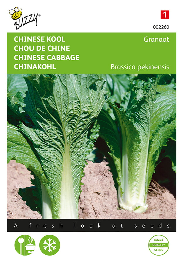 Buzzy Seeds Chinakohl Granat