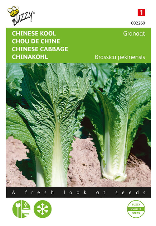 Buzzy Seeds Chinakohl Granat