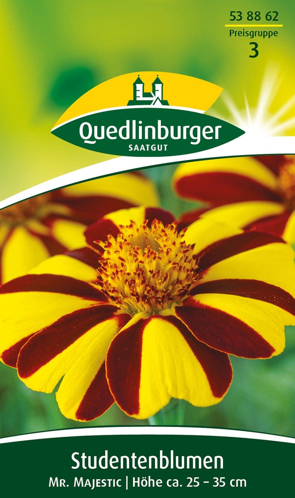 Quedlinburger Studentenblume Mr. Majestic
