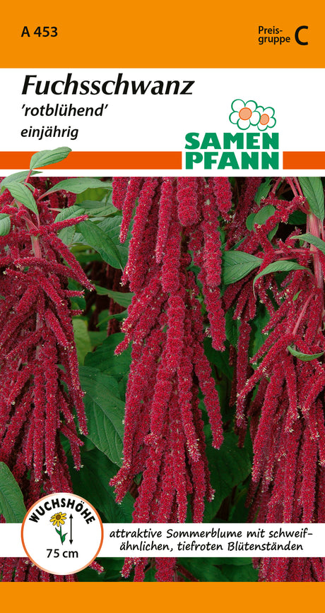 Samen Pfann rotblühend Fuchsschwanz