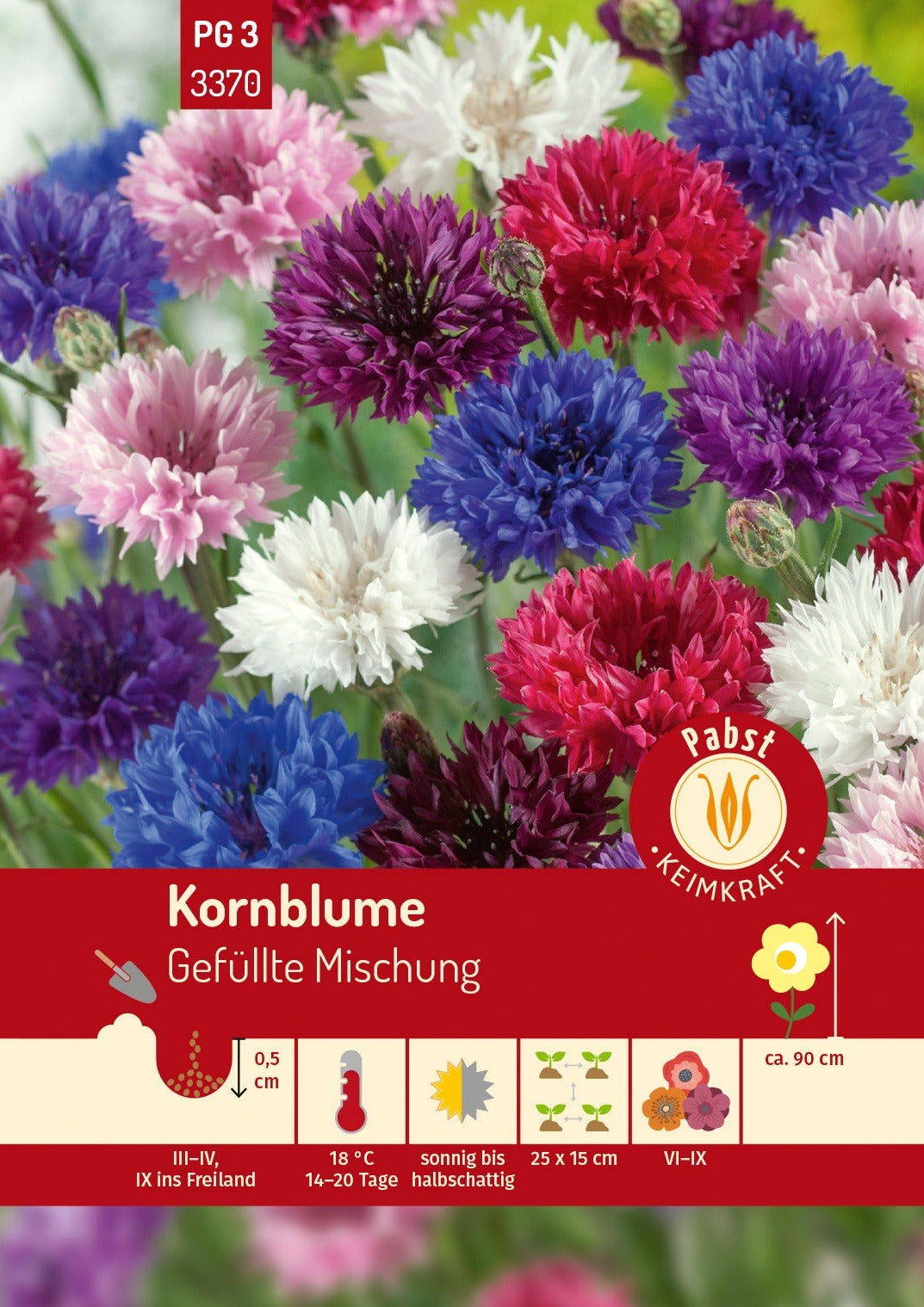 Pabst Keimkraft Kornblumen Mischung