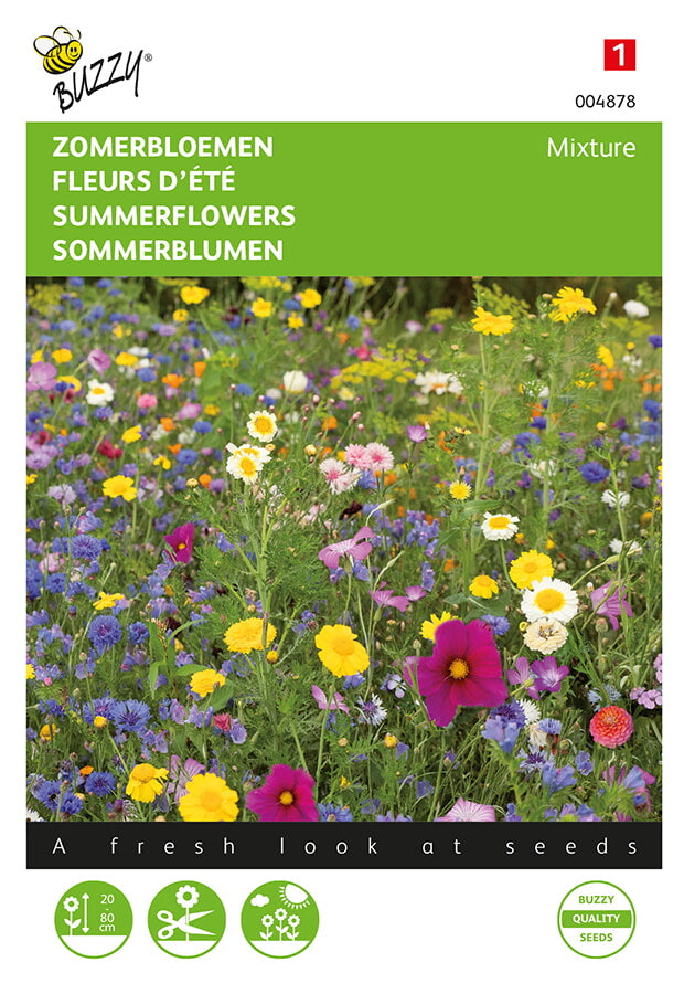 Buzzy Seeds Sommerblumen Mischung